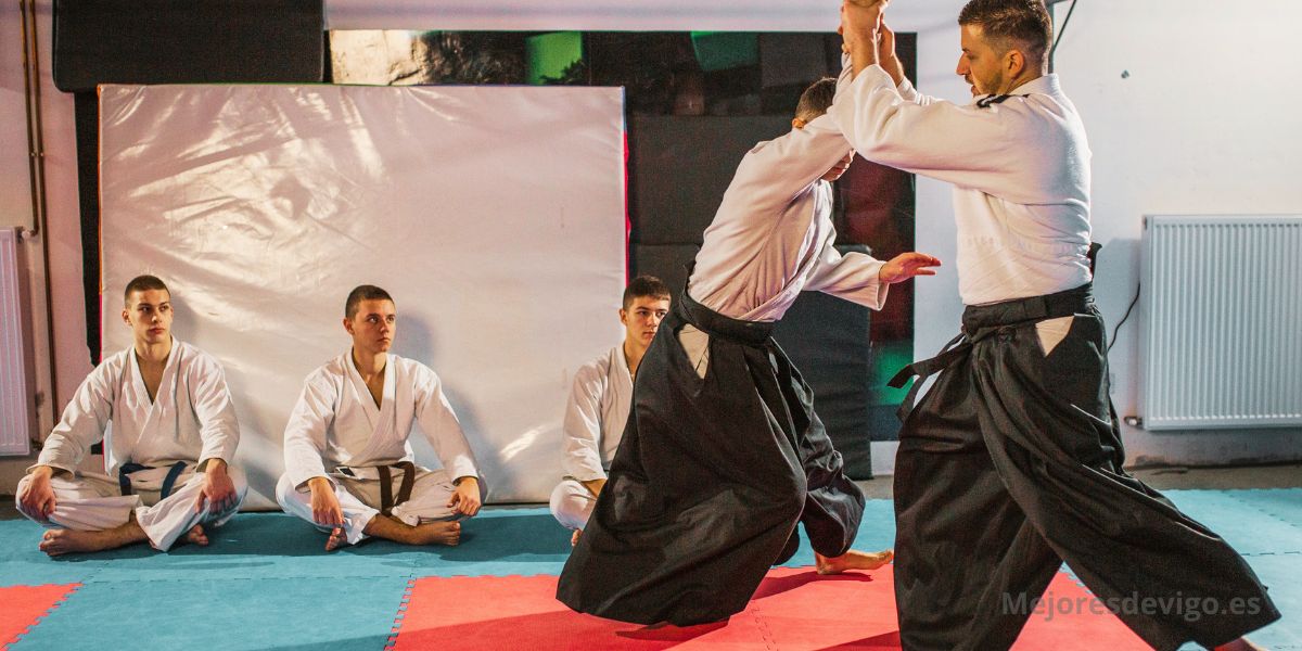 Las mejores escuelas de Aikido en Vigo
