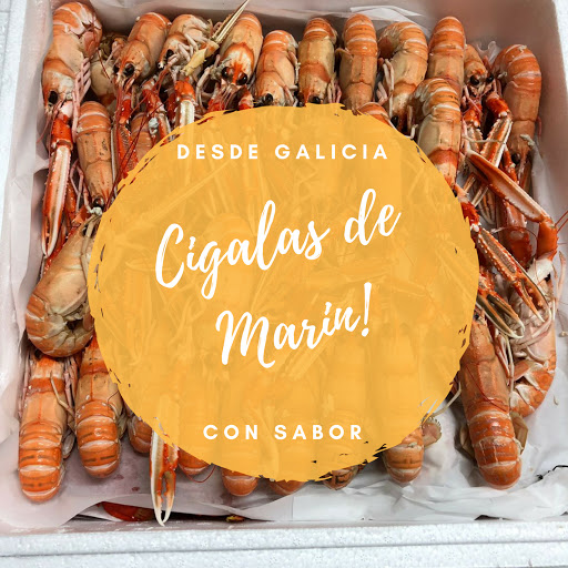 Galicia Marisco