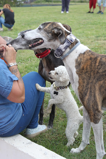 Breocan Actividades y Educación Canina